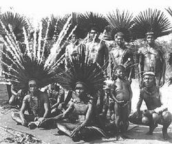 Indios Bororo 1914