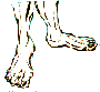 pe.gif (1410 bytes)