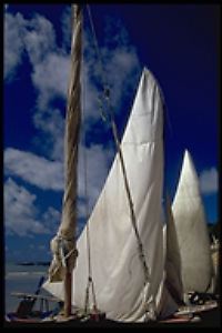 Foto de Henrique Jose