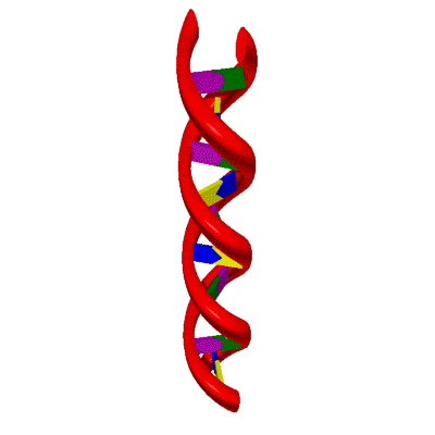 estrutura de uma cadeia de DNA