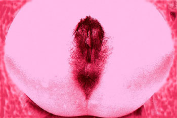 Foto: Henrique Jose